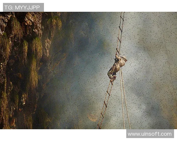 杭州攀岩队反击体系探秘：攀岩战术的创新与实践分析