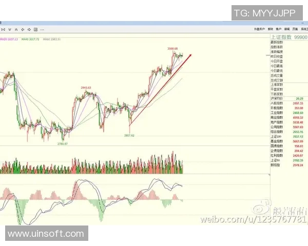 深圳羽毛球队防守策略解析与战术创新探讨