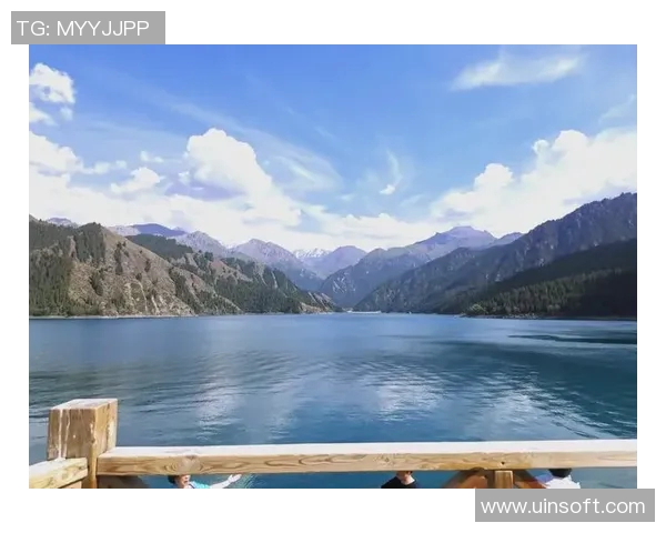 新疆天山与黑龙江的自然风光与文化魅力深度对比探讨