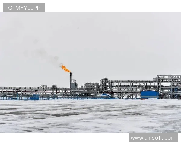 亚马尔地区的能源战略与全球气候变化的应对之道