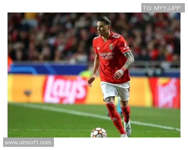 努涅斯在赛场上的崛起与挑战：从新星到顶级前锋的奋斗历程